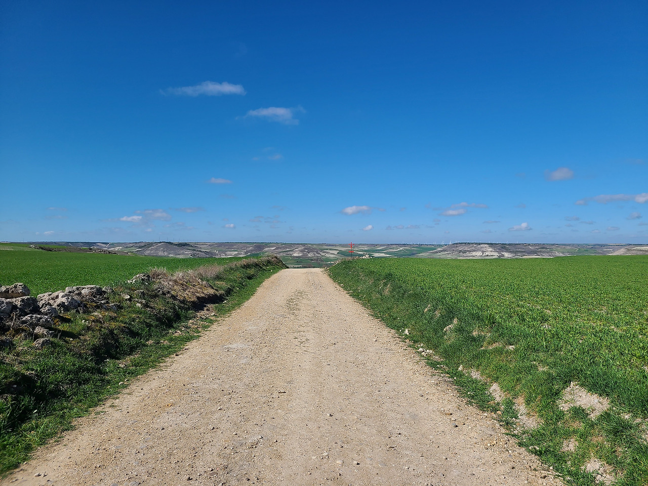 a32eba15ea5fe3afa8dc994b0fea7f40 (1).jpg