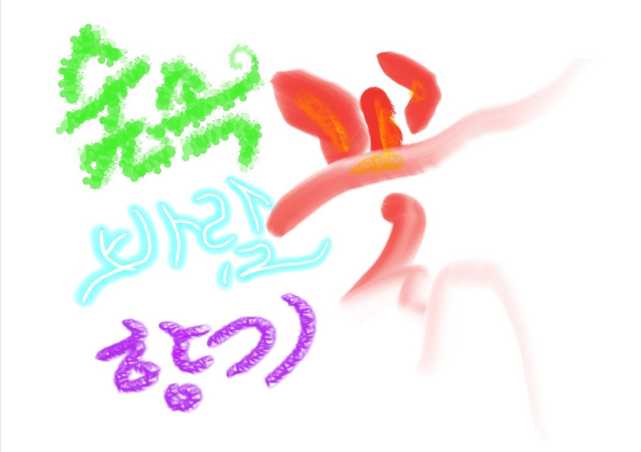 숲속 바람꽃.jpg