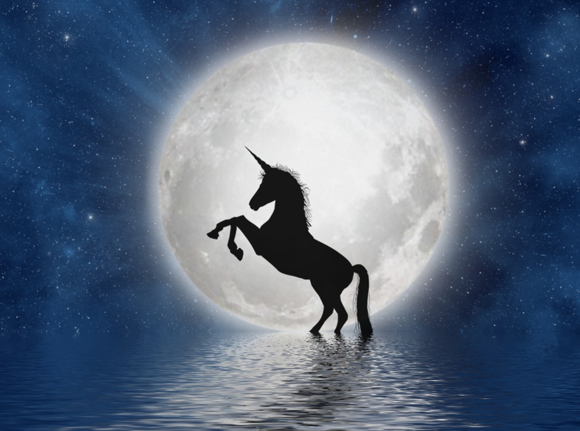 Cap 2022-09-07 08-30-32-120.jpg