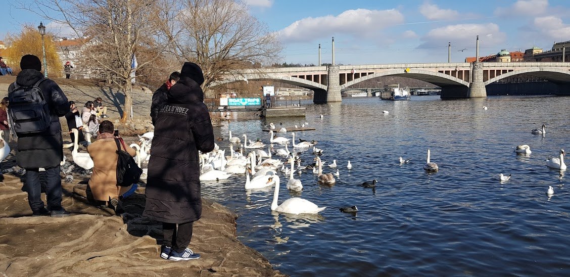 20190131_120913 (1).jpg