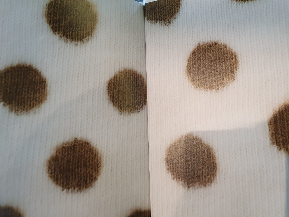 나는 개다_그림책심리지도사 6.jpg