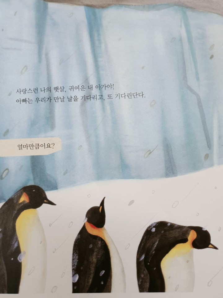 아빠만날준비됐니_그림책심리지도사 3.jpg