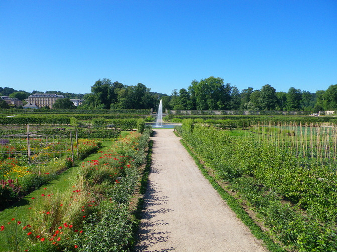 Potager-du-Roi-Versailles_visuel_large.jpg