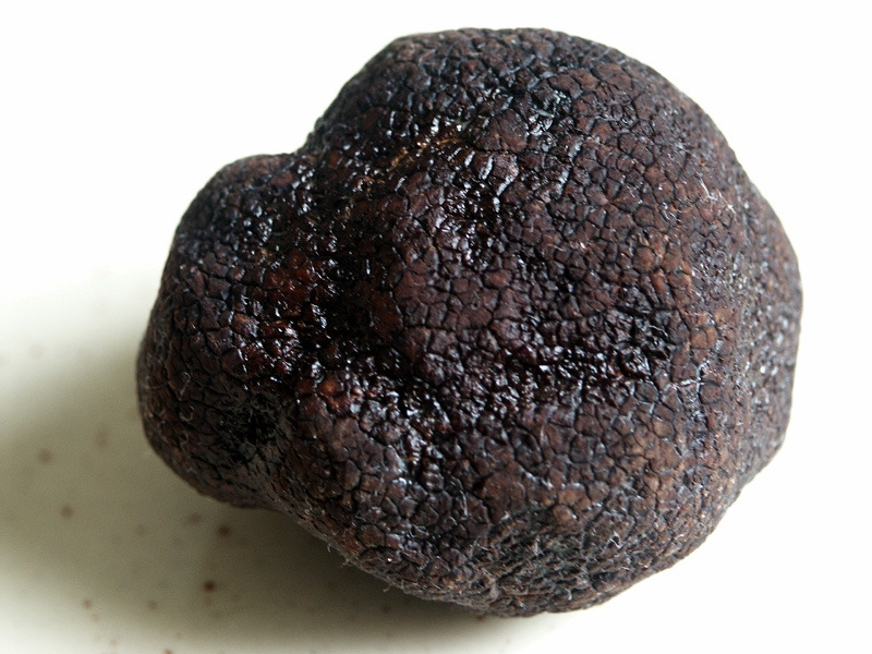 Truffe_noire_du_Périgord.jpg