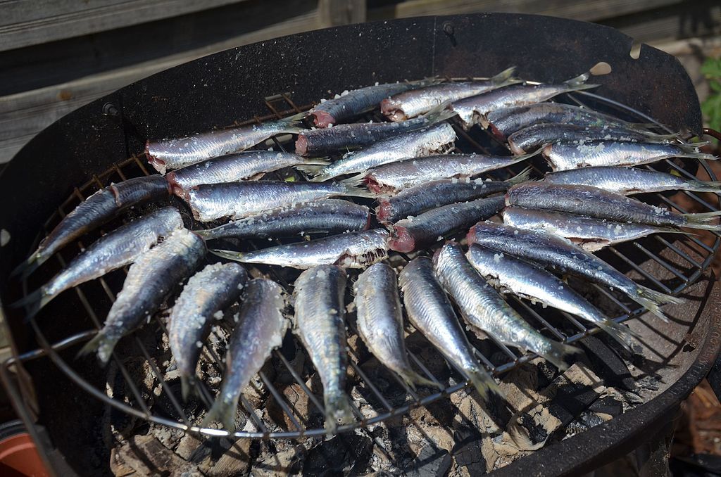 Cuisson_de_sardines_au_barbecue.jpg
