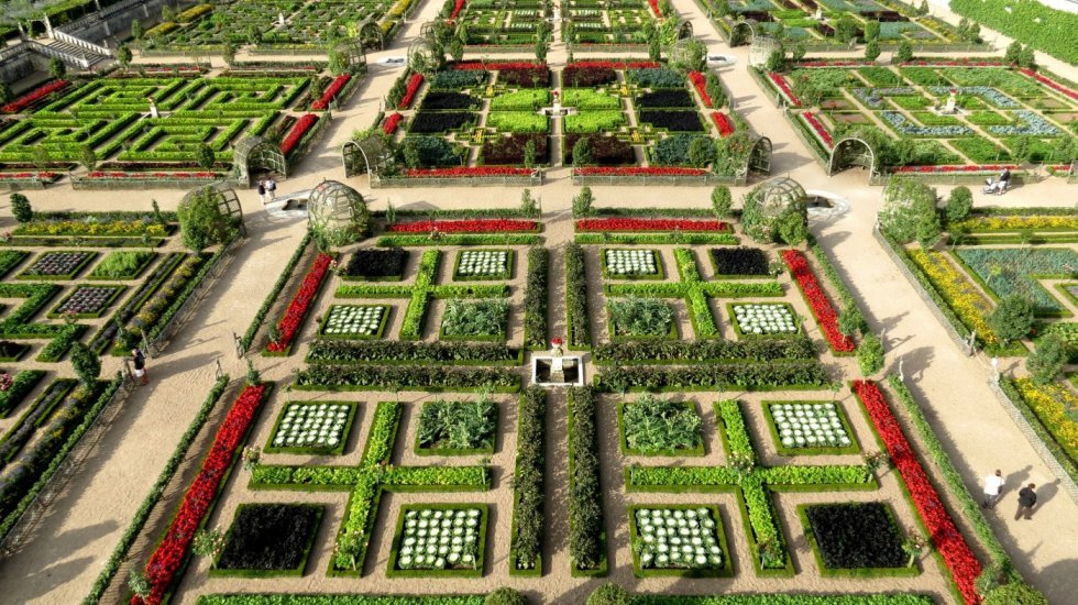 jardins_de_villandry_-_grappe_de_raisinscg.girard_crt_centre-val_de_loire_0.jpg