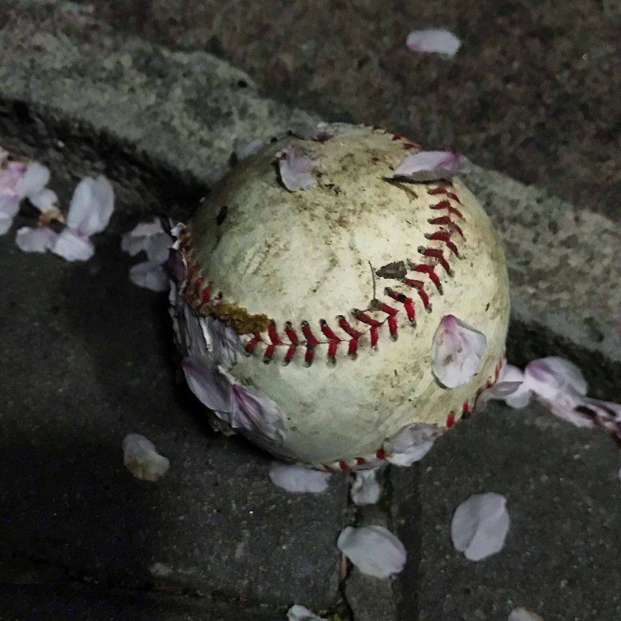 50319535-72FC-4093-B04A-DC7A8060EDDD_Original 복사본.jpg