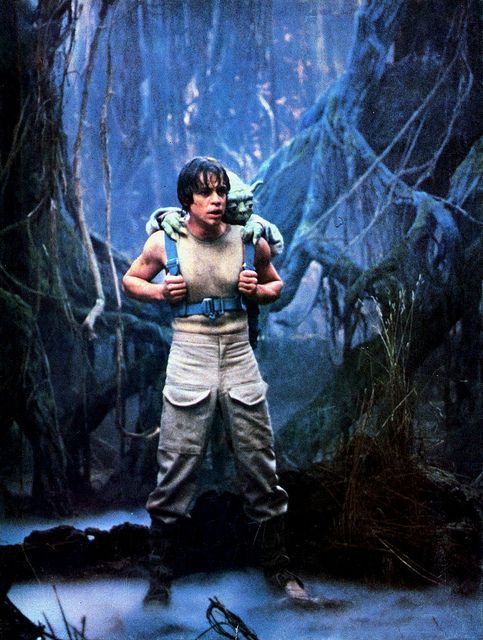 스타워즈 지택림.jpg