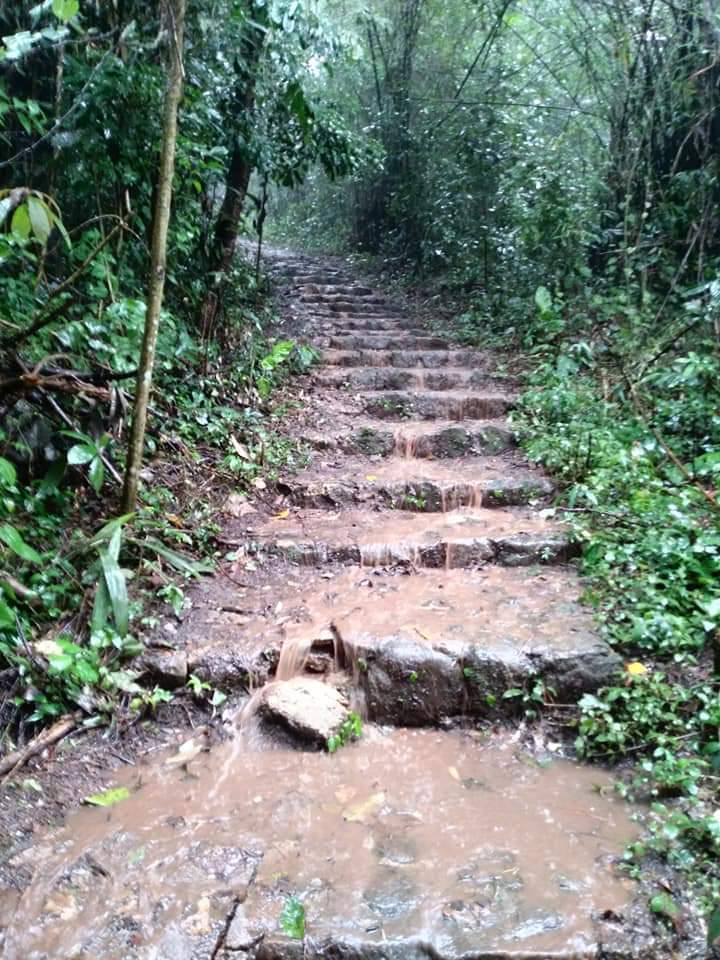 KakaoTalk_20200701_223058966_17 (1).jpg