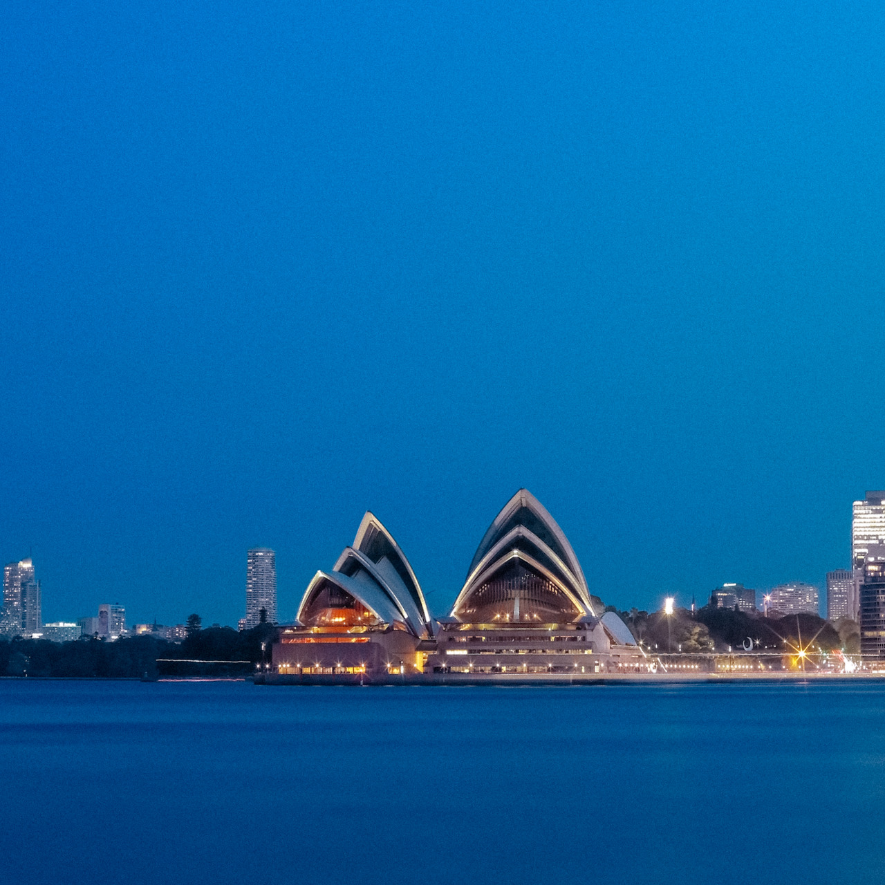 5DM46778 오후 8.41.07.jpg