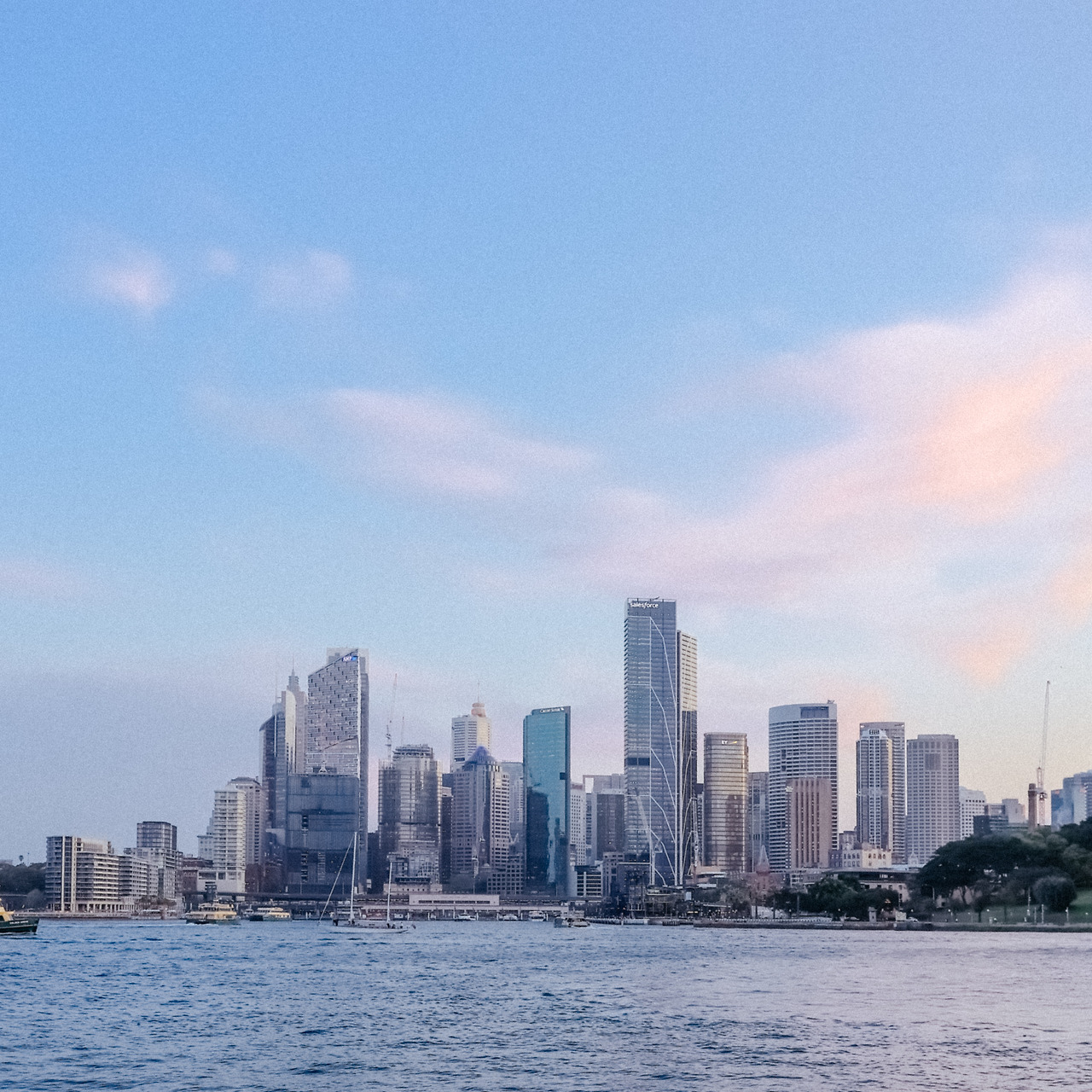 5DM46742 오후 8.41.07.jpg