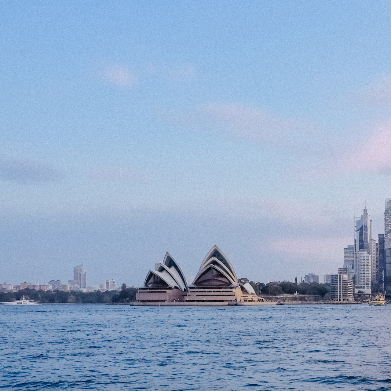 5DM46747 오후 8.41.07.jpg