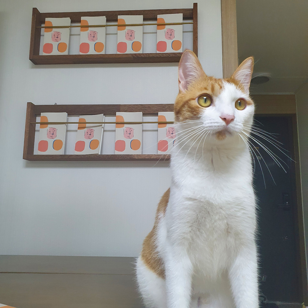 연애는다음생에 홍보사진3.jpg