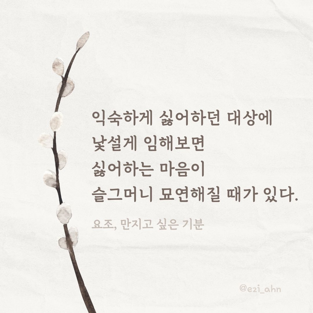 Aesthetic Shadow Good Afternoon Instagram Post.jpg