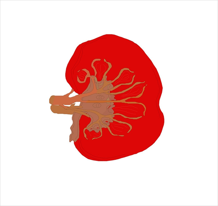 당뇨인, 소변에서 거품이 지속적으로 나온다면6.jpg