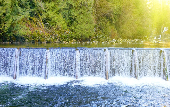 당뇨병 치료를 하기 위해선 간 기능부터 개선5.jpg