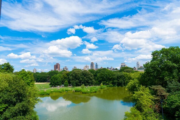 city-landscape-manhattan-ny-from-central-park-nyc-manhattan-central-park-new-york-beautiful-view-jacqueline-kennedy-onassis-reservoir-urban-park-picturesque-lakes-meado.jpg