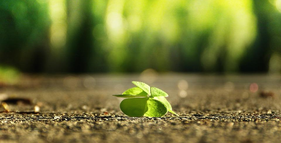 four-leaf-clover-3336774_960_720.jpg
