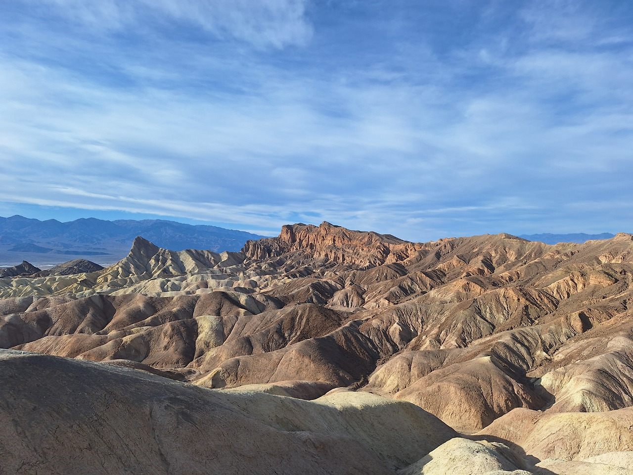 KakaoTalk_20241229_093617682_17 (2).jpg