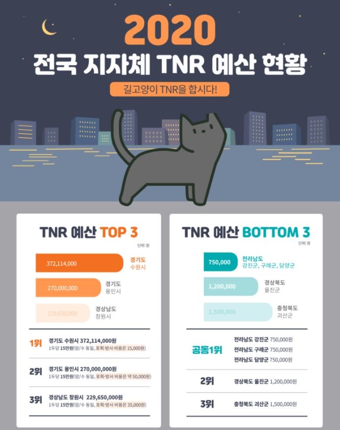 고양이 TNR.jpg