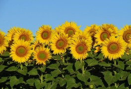 다운로드 (1).jpg