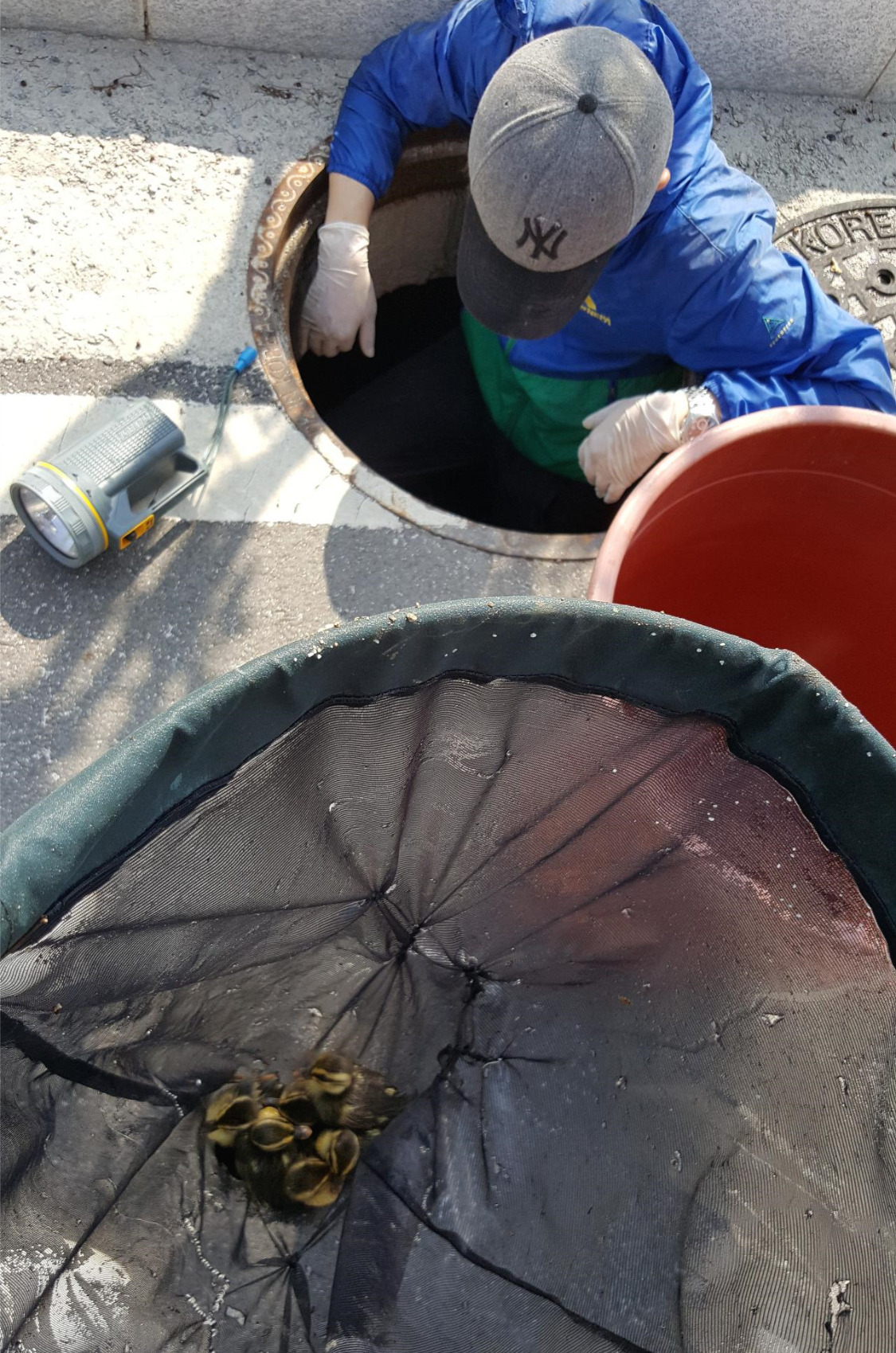 집수정 내 구조활동 (1).jpg