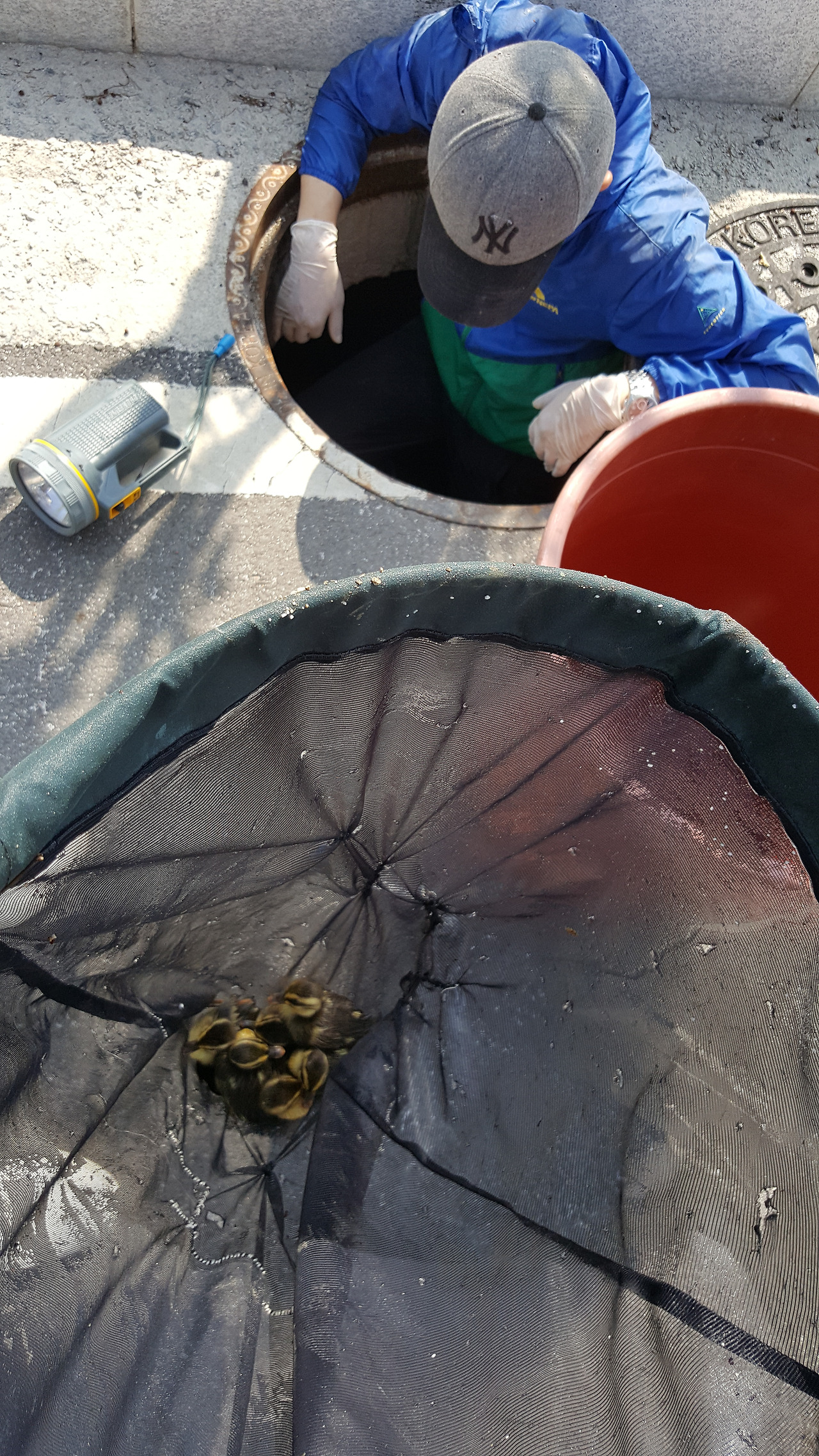 집수정 내 구조활동 (1).jpg