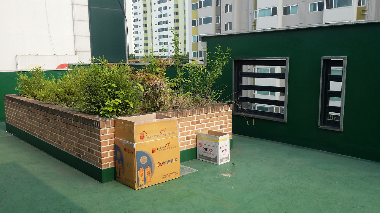 건물 옥상 위 둥지 흔적 (1).jpg