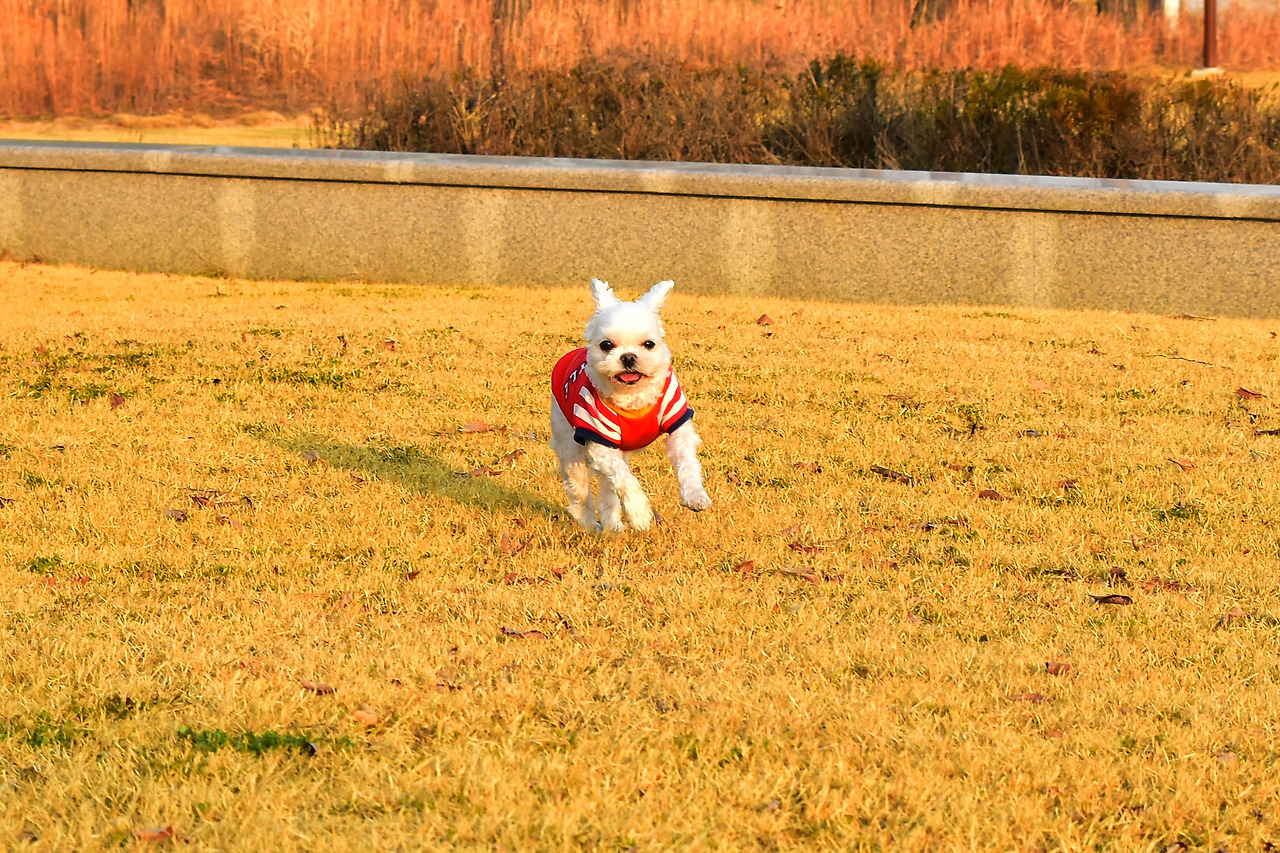 사랑해만수야 (10).jpg