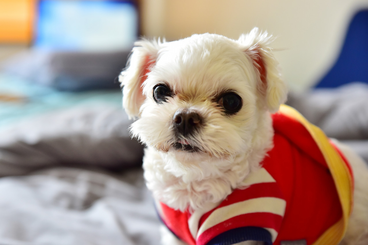 사랑해만수야 (2).jpg