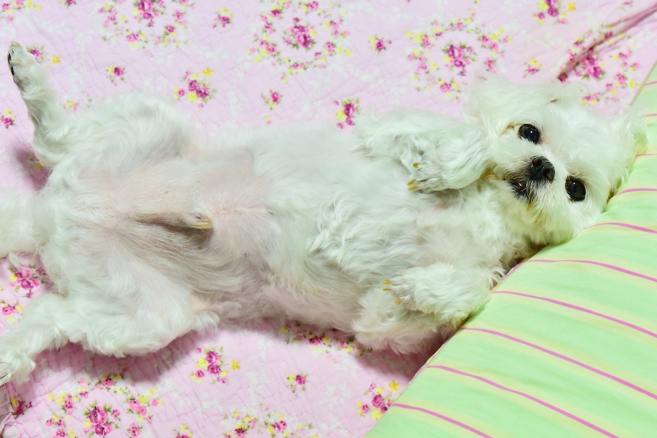 사랑해만수야 (5).jpg