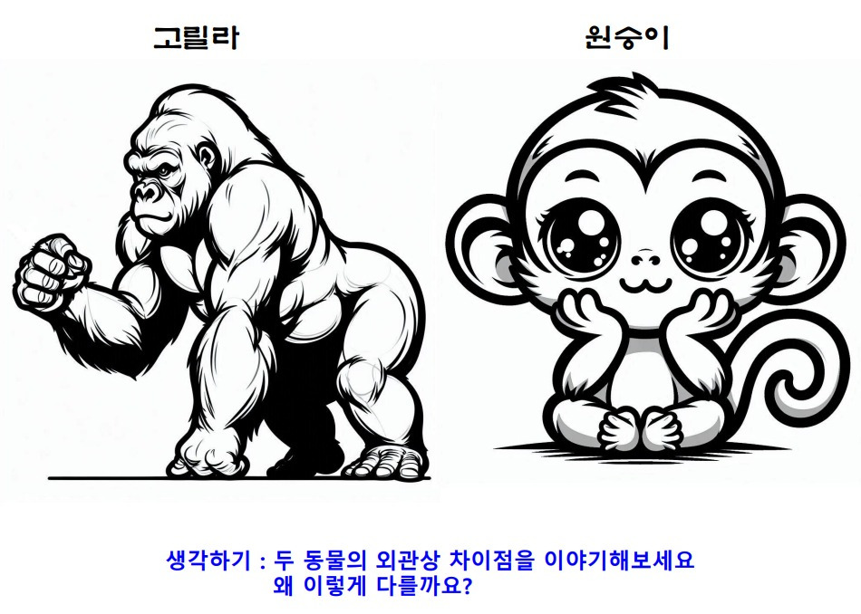 04고릴라원숭이.jpg