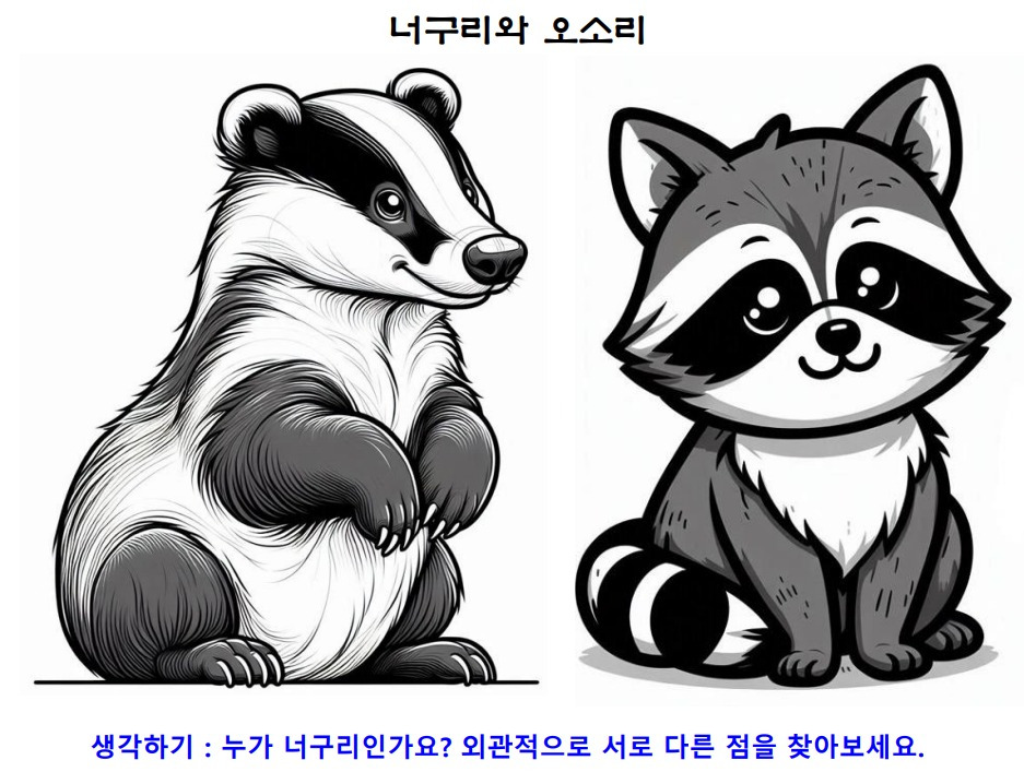 02너구리와오소리.jpg