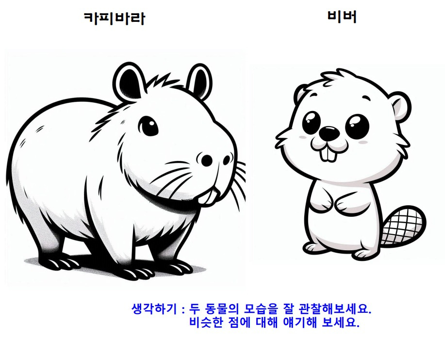 01카피바라_비버.jpg