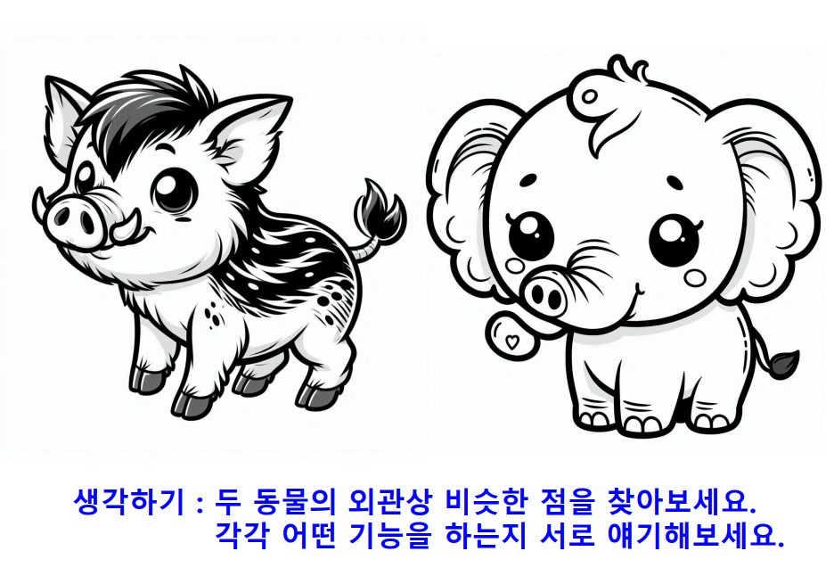 03돼지와코끼리.jpg