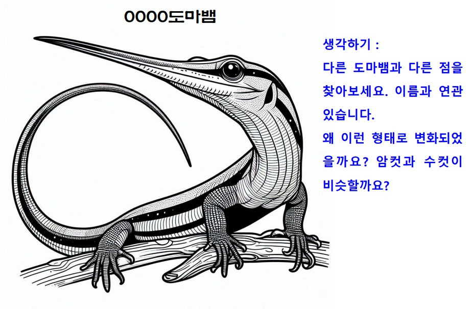 28피노키오도마뱀.jpg