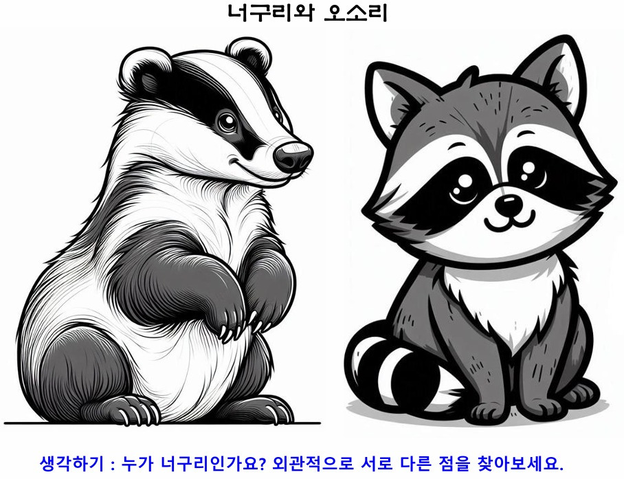 02너구리와오소리.jpg