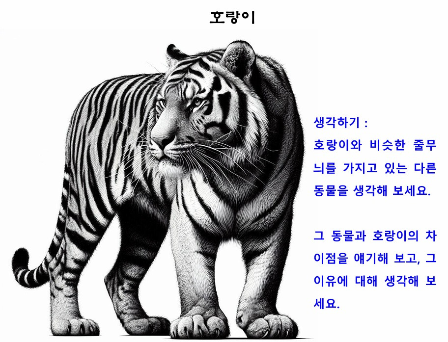 05호랑이.jpg