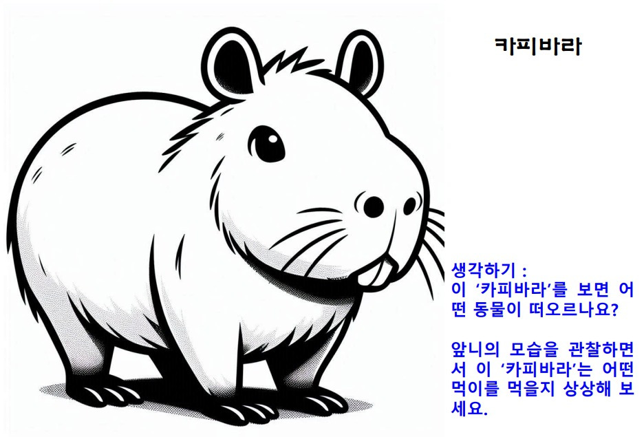 카피바라.jpg