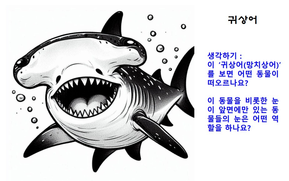 33귀상어.jpg