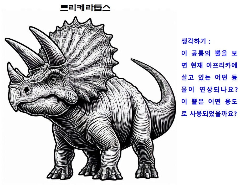 23트리케라톱스.jpg