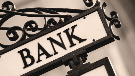 민들레 영토 02.jpg