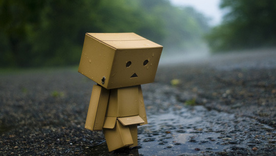 민들레 영토 02.jpg