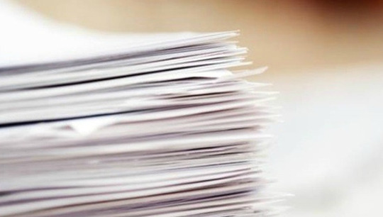 민들레 영토 04.jpg