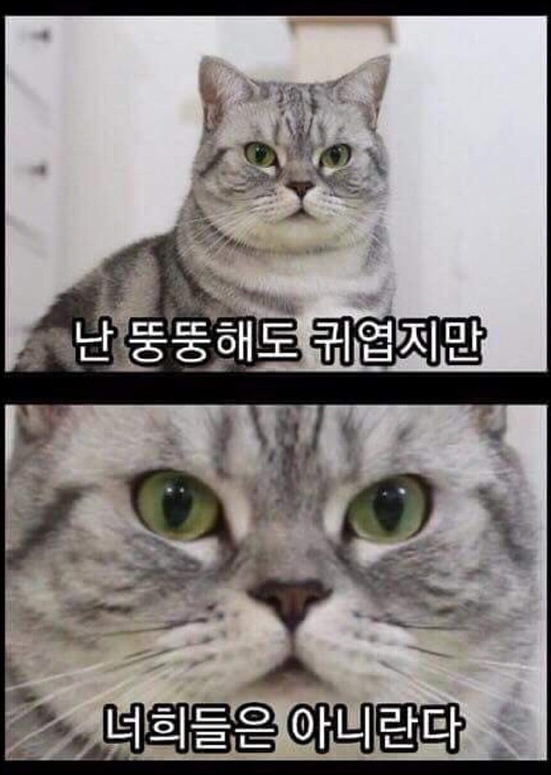 externalFile (1).jpg