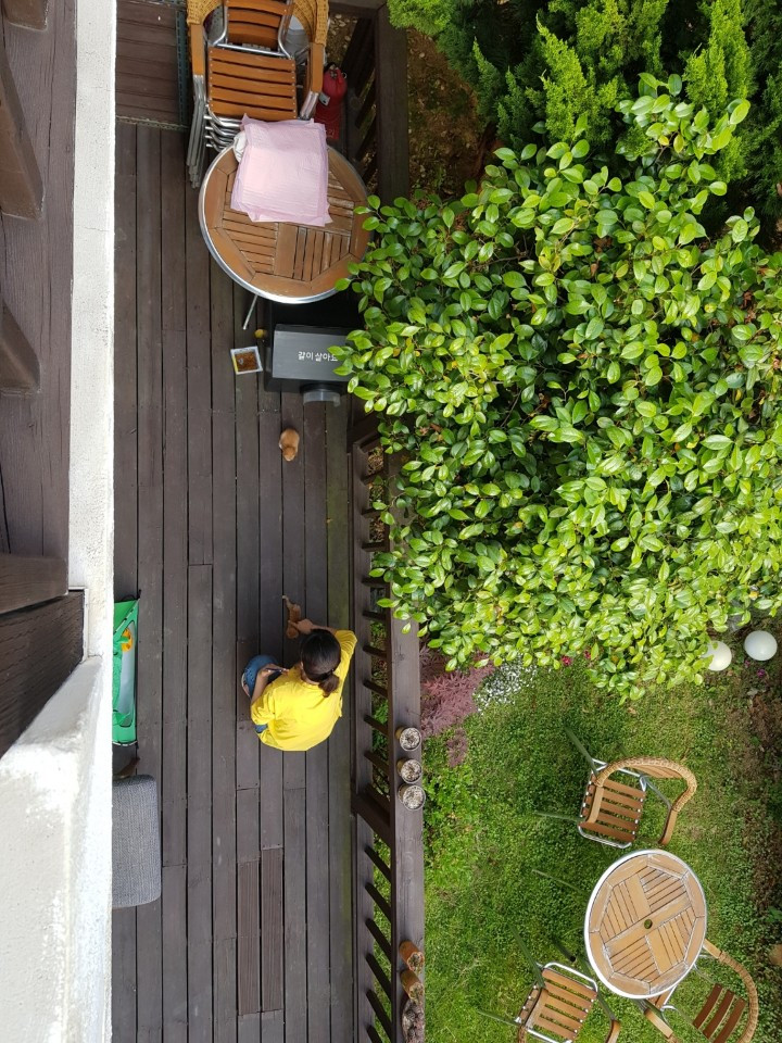 2층에서본마당.jpg