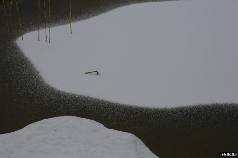 불행 이미지.jpg