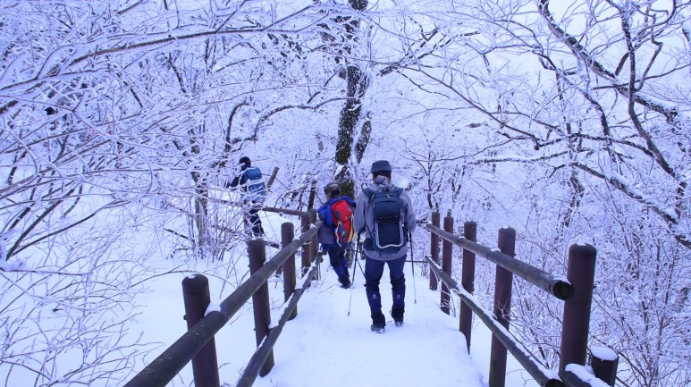 같이 하산 이미지.jpg