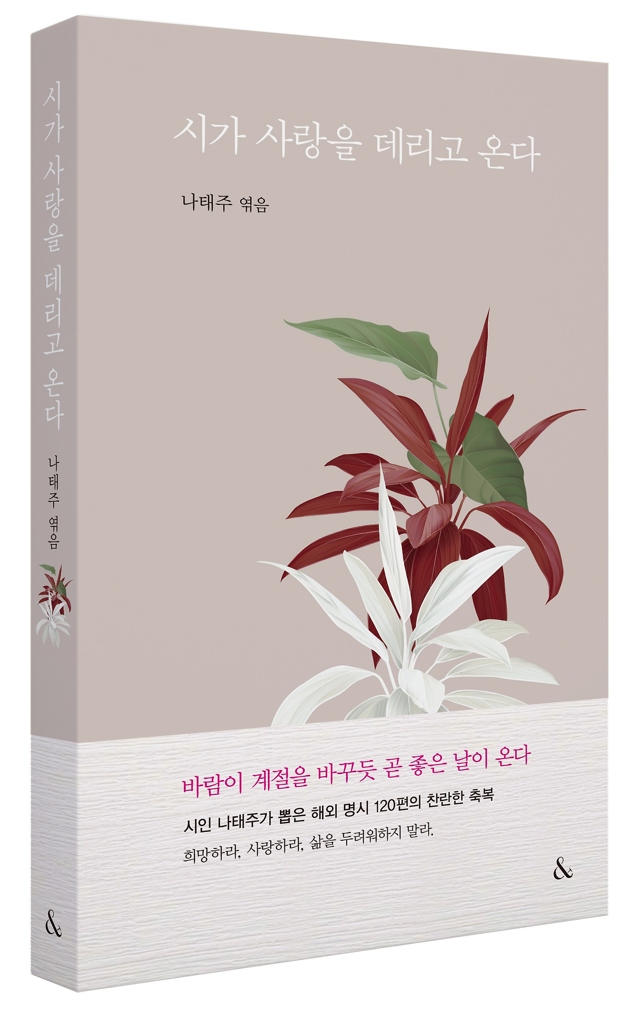 시가사랑을 입체사진.jpg