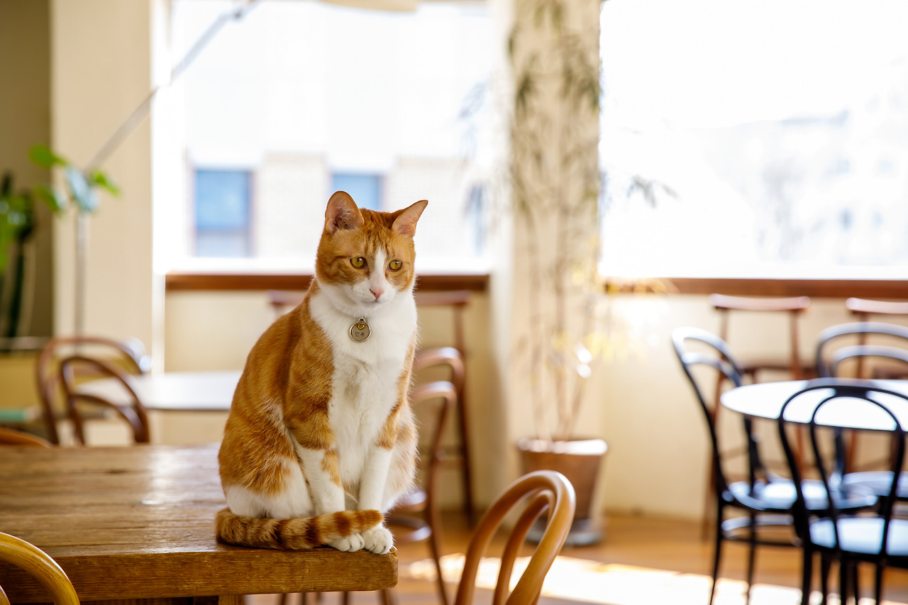 목로정원 만복이.jpg